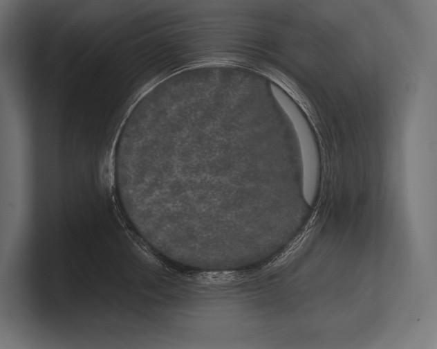 X0000100230858200806201442