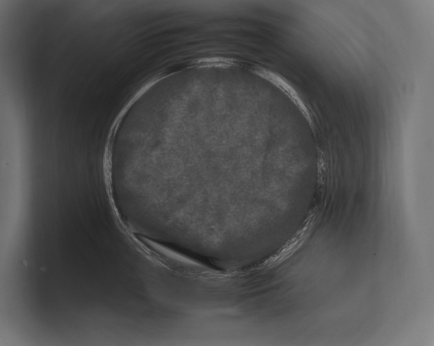 X0000100230859200806201442