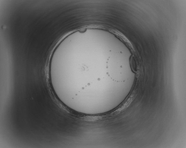 X0000100230860200806201442