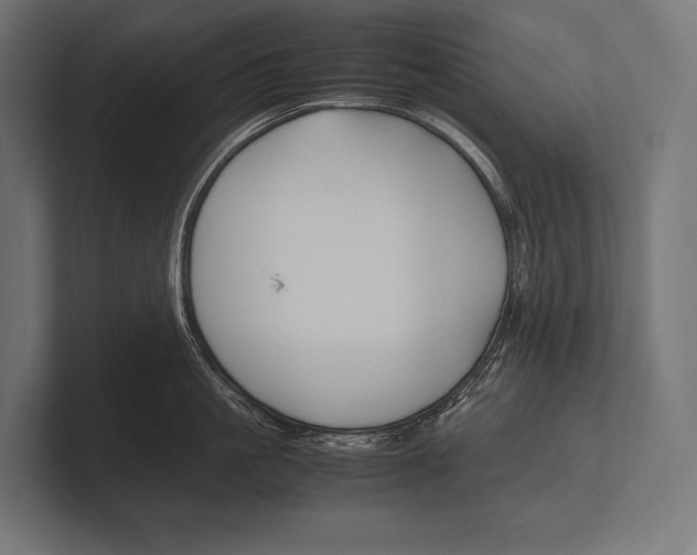 X0000100230861200806201442