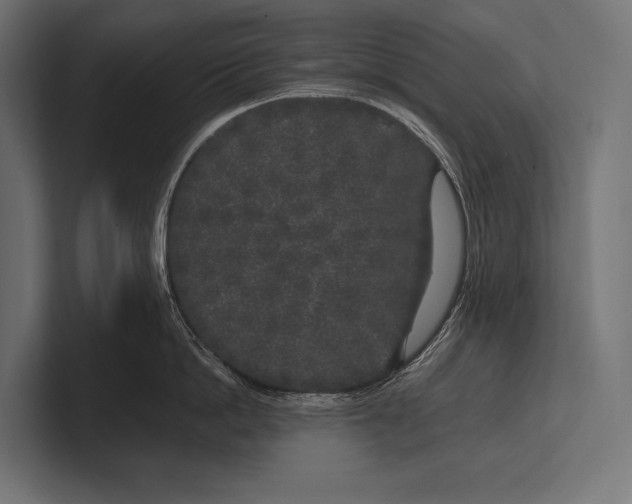 X0000100230862200806201442