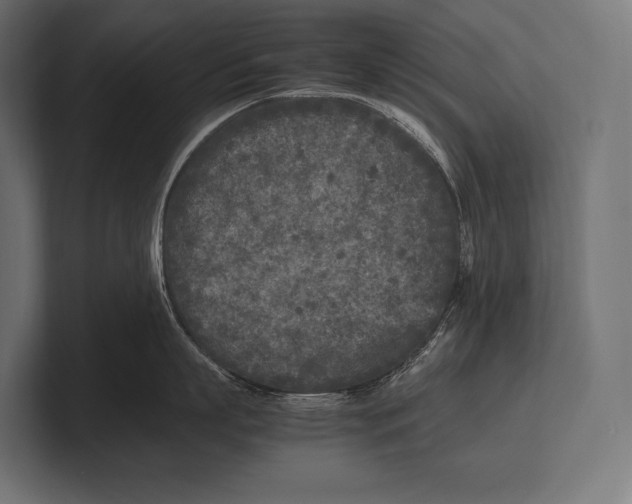 X0000100230863200806201442