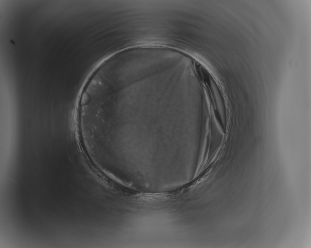 X0000100230864200806201442