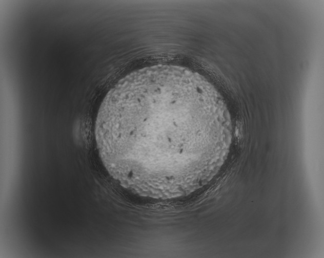 X0000100230867200806201442