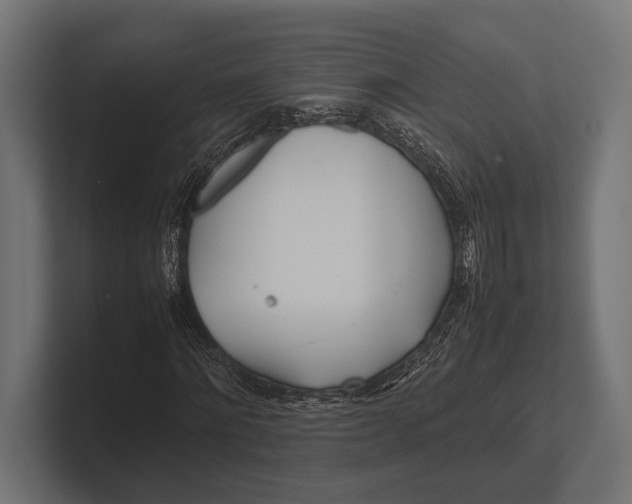 X0000100230868200806201442