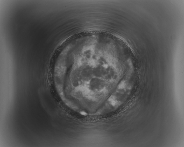 X0000100230871200806201442