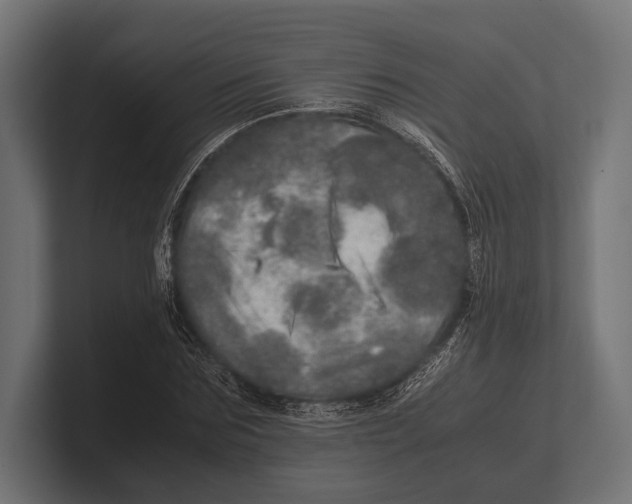 X0000100230875200806201441