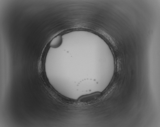 X0000100230876200806201441