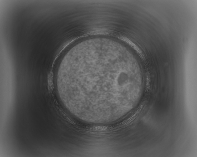 X0000100230878200806201441