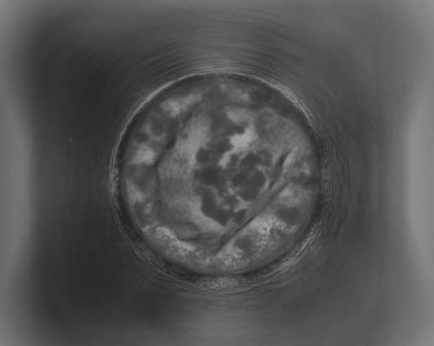 X0000100230879200806201441