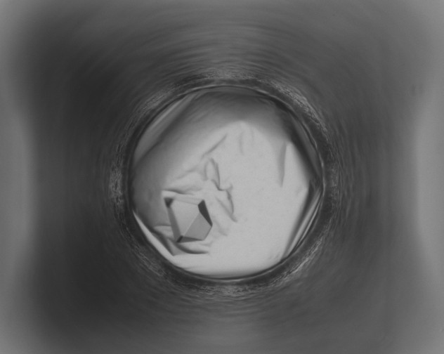 X0000100230881200806201441