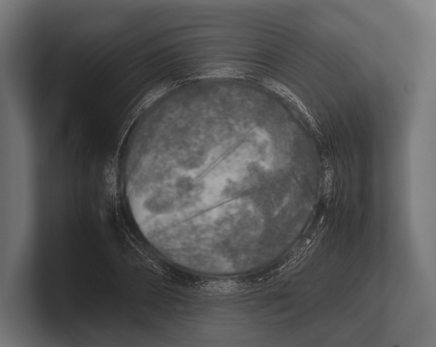 X0000100230882200806201441