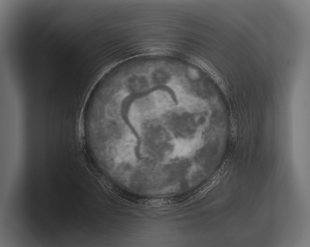 X0000100230883200806201441