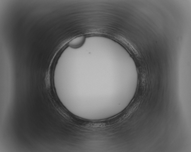 X0000100230884200806201441