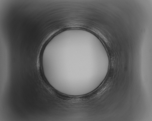 X0000100230885200806201441