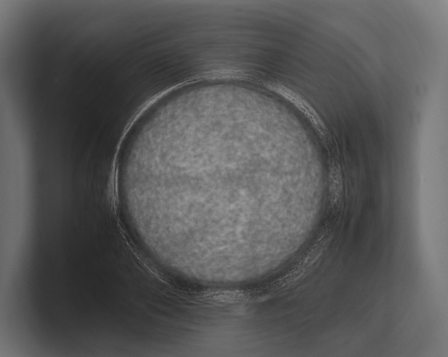 X0000100230886200806201441