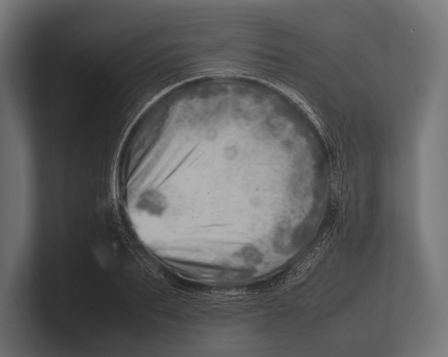 X0000100230887200806201441