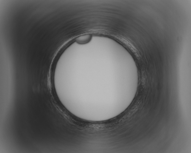 X0000100230888200806201441