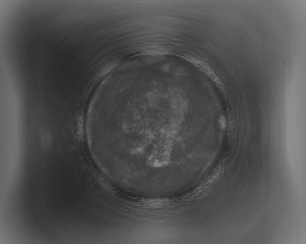 X0000100230889200806201441