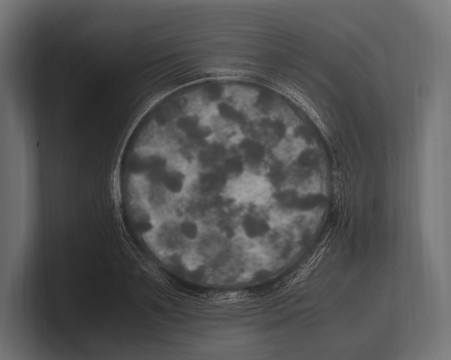 X0000100230891200806201441