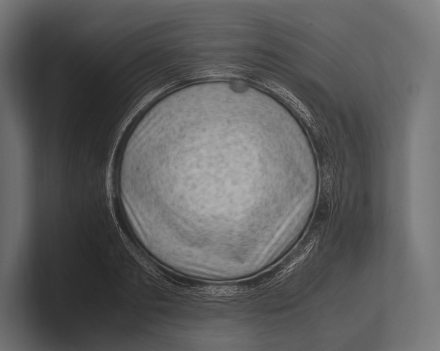 X0000100230893200806201441