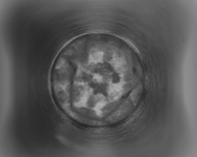 X0000100230895200806201441