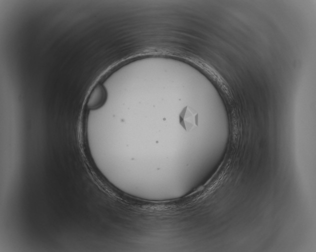 X0000100230896200806201441