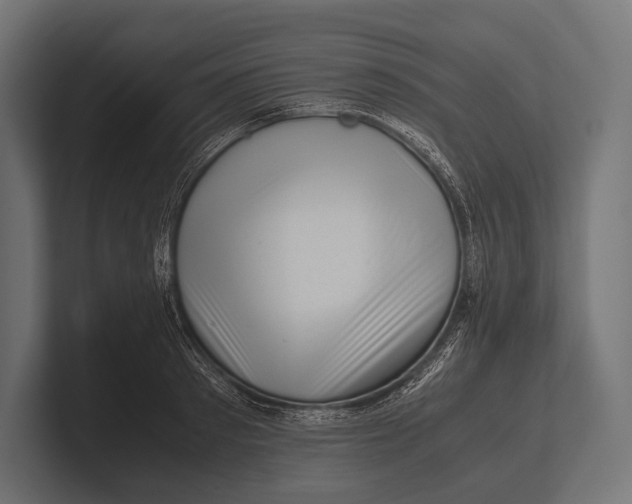 X0000100230897200806201441