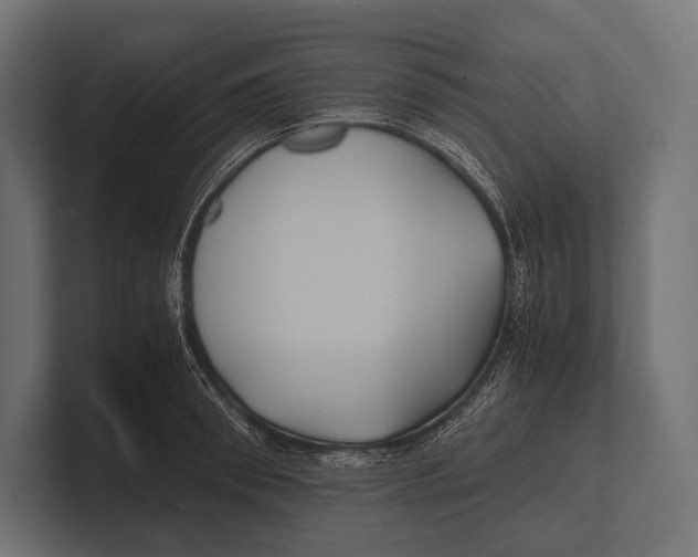 X0000100230898200806201441