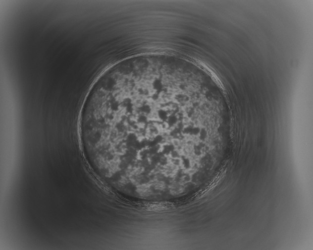 X0000100230899200806201441