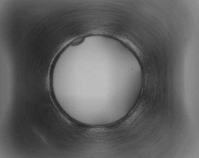 X0000100230902200806201441