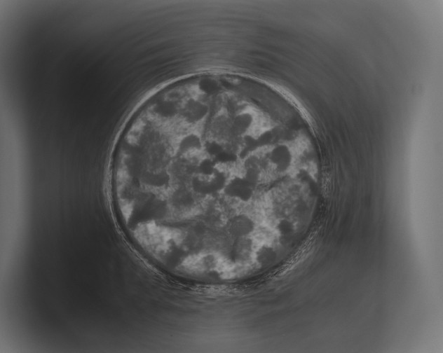 X0000100230903200806201441