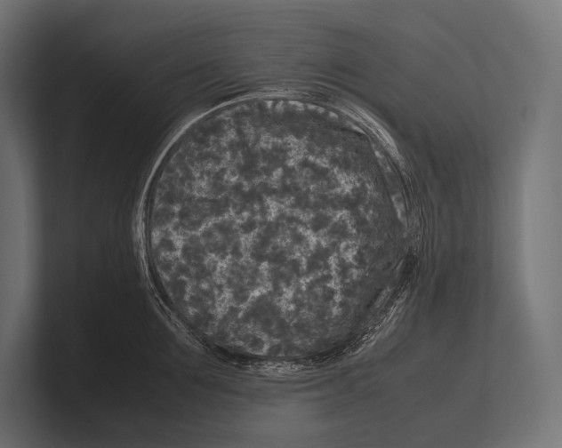 X0000100230907200806201441