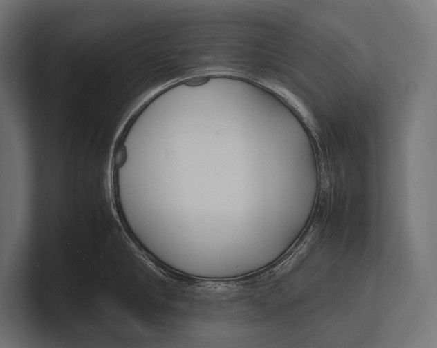 X0000100230910200806201441