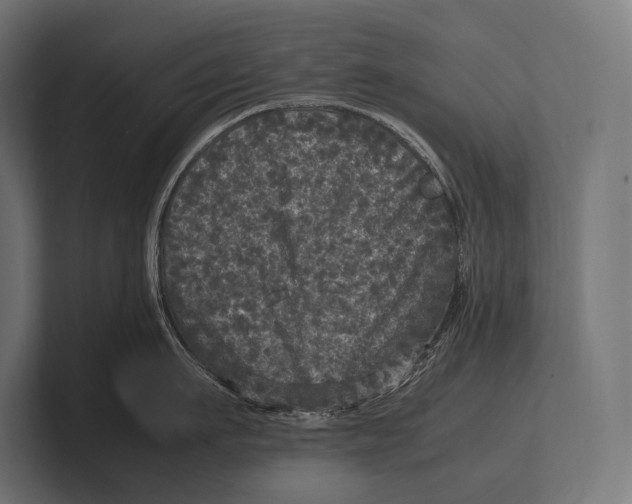 X0000100230911200806201441