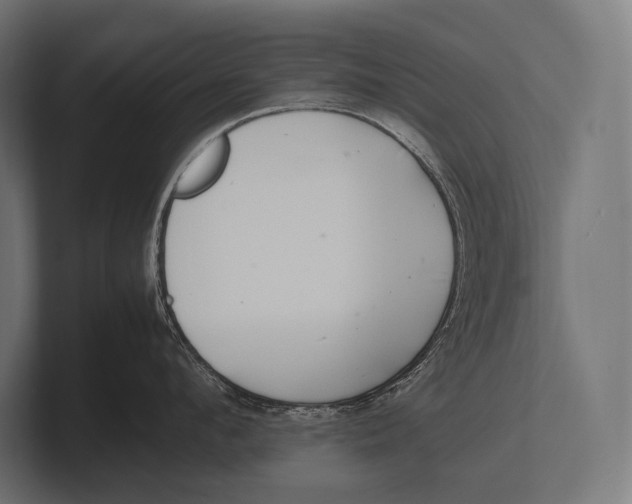 X0000100230912200806201441