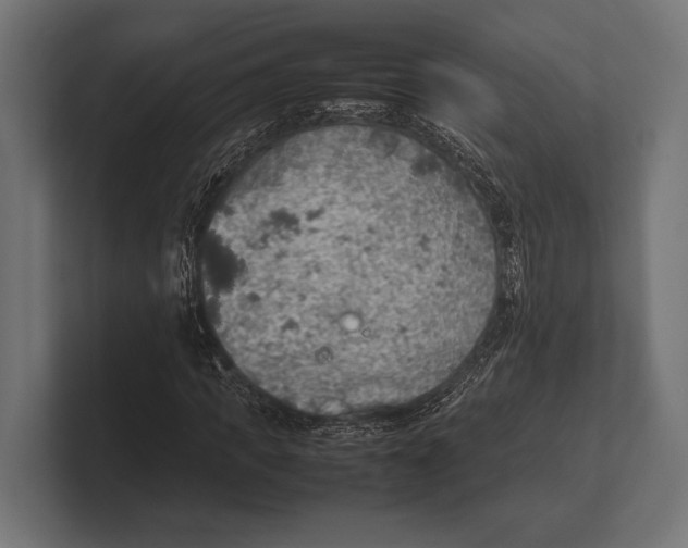 X0000100230917200806201440