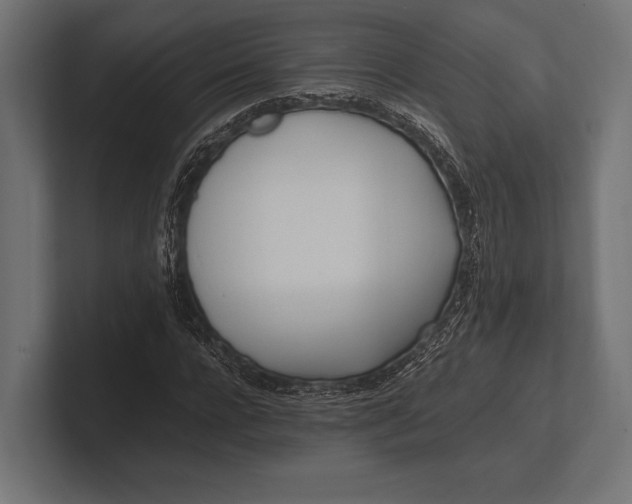 X0000100230920200806201440