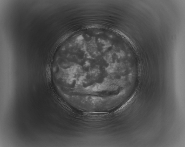 X0000100230921200806201440