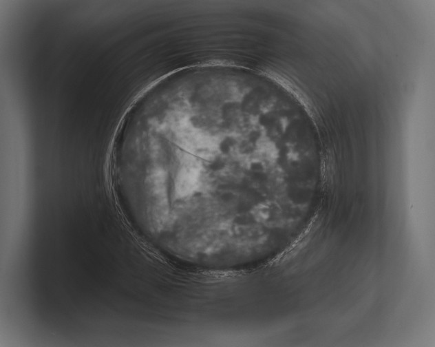 X0000100230925200806201440