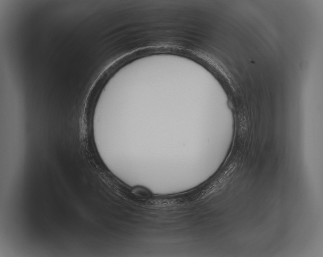 X0000100230927200806201441