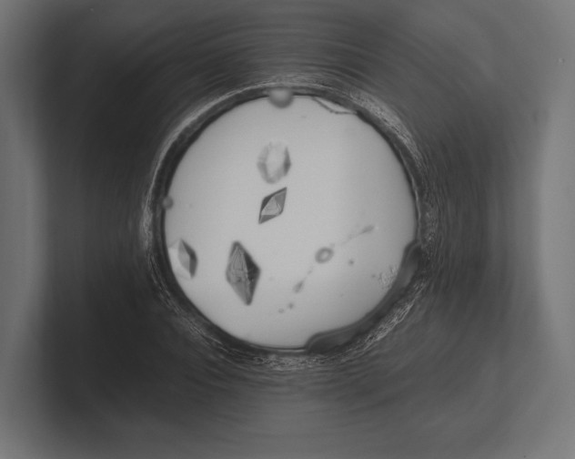 X0000100230928200806201441