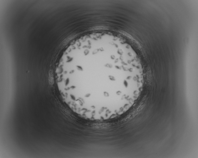 X0000100230929200806201441