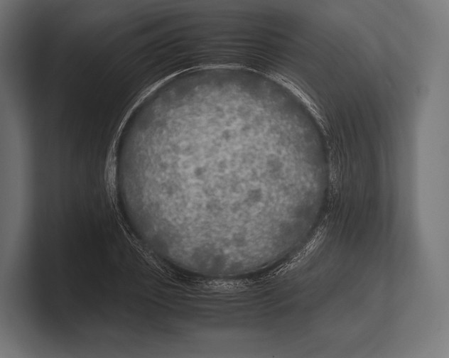 X0000100230933200806201441