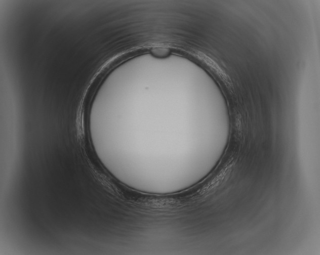 X0000100230934200806201441