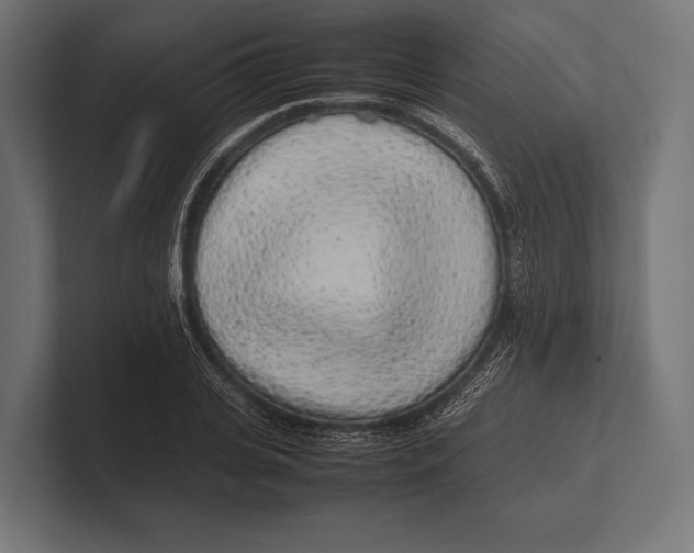 X0000100230935200806201441