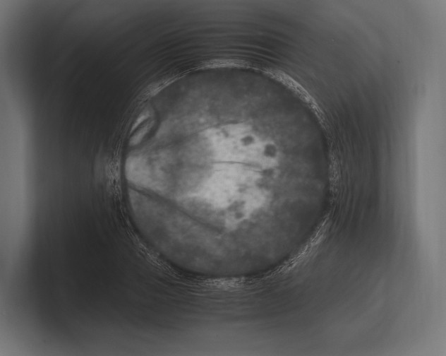 X0000100230937200806201441