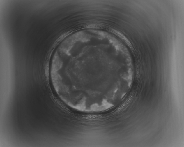 X0000100230938200806201441