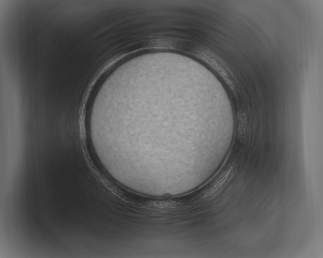 X0000100230939200806201441