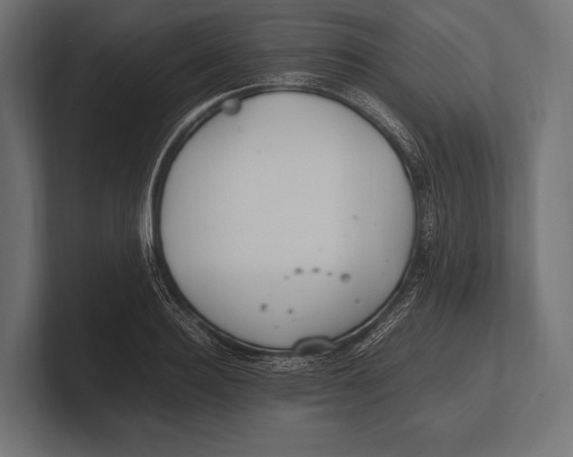 X0000100230940200806201441